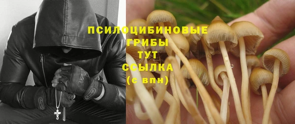 каннабис Алексин