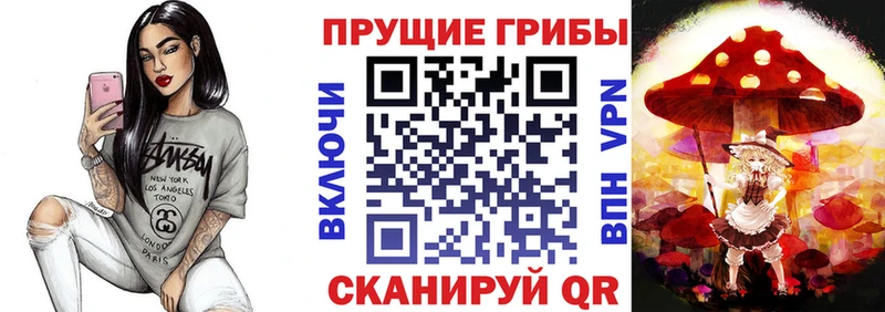 ссылка на мегу вход  Жуков  Галлюциногенные грибы прущие грибы 